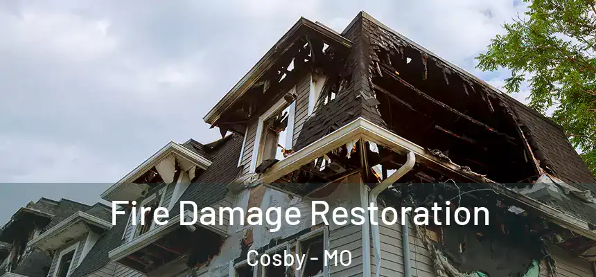 Fire Damage Restoration Cosby - MO