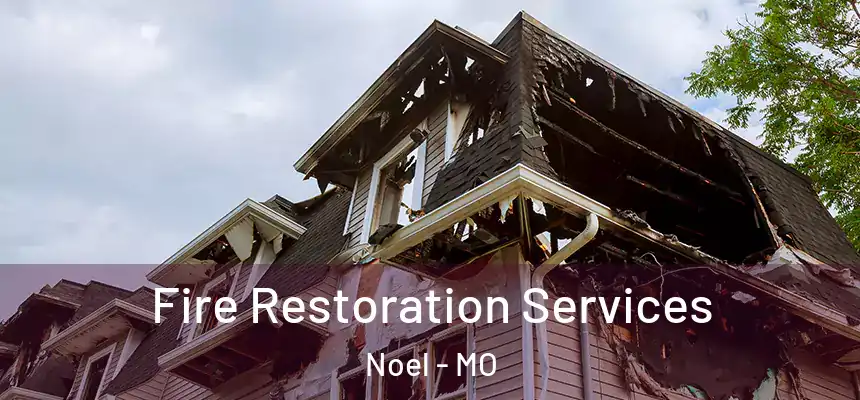  Fire Restoration Services Noel - MO