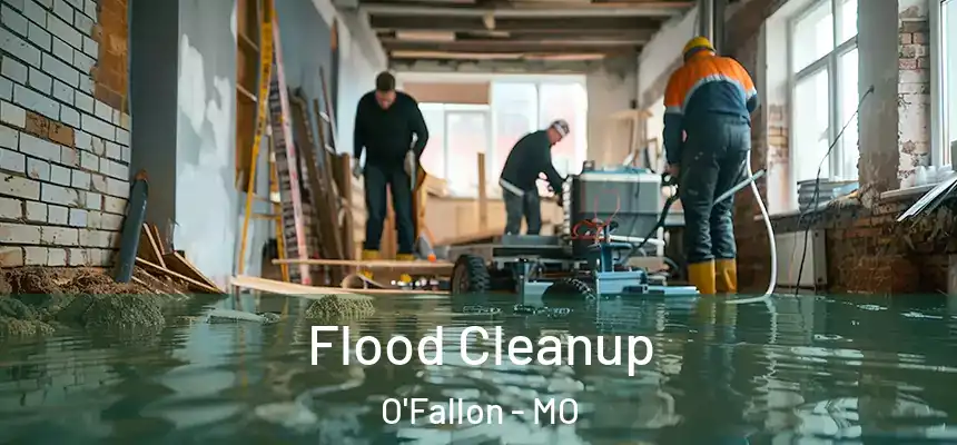  Flood Cleanup O'Fallon - MO