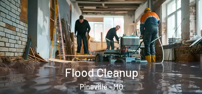  Flood Cleanup Pineville - MO
