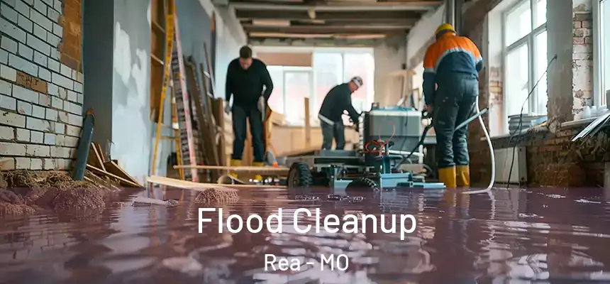  Flood Cleanup Rea - MO