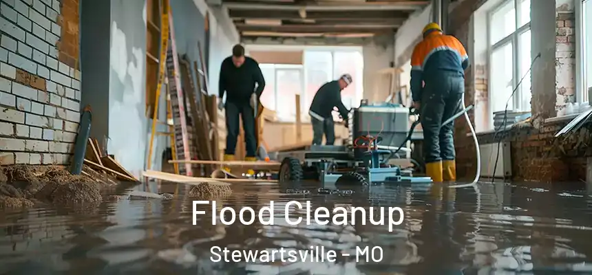  Flood Cleanup Stewartsville - MO