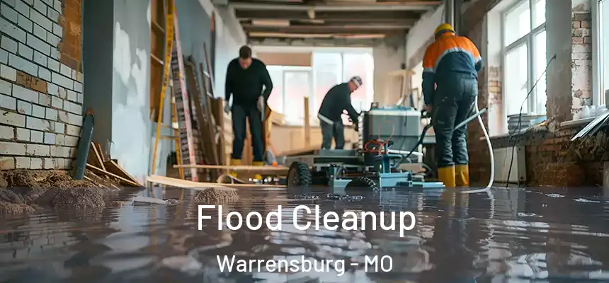  Flood Cleanup Warrensburg - MO