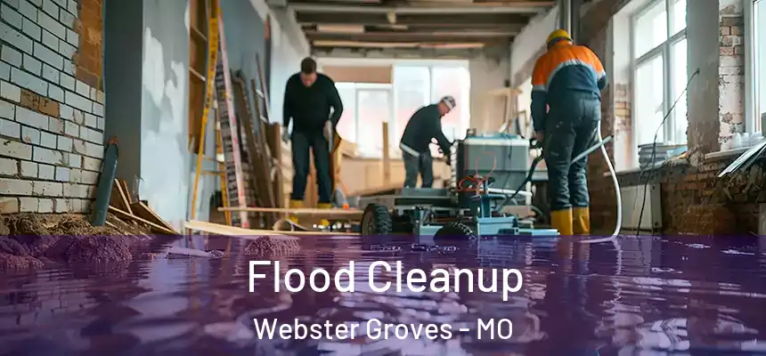 Flood Cleanup Webster Groves - MO