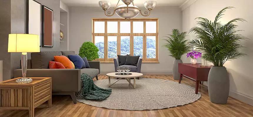 Local Water Mitigation in Chesterfield