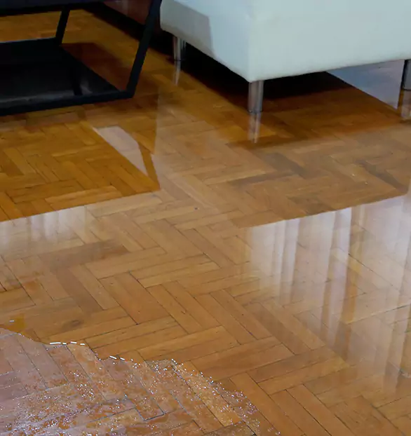 Trusted Emergency Water Restoration Company in Chesterfield, MO