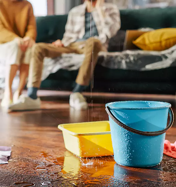 Trusted Water Mitigation Company in Chesterfield, MO