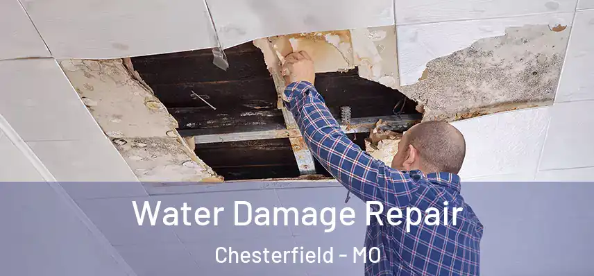  Water Damage Repair Chesterfield - MO